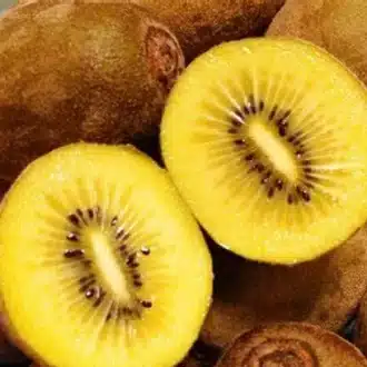 kiwi jaune