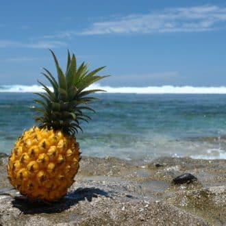 ananas victoria